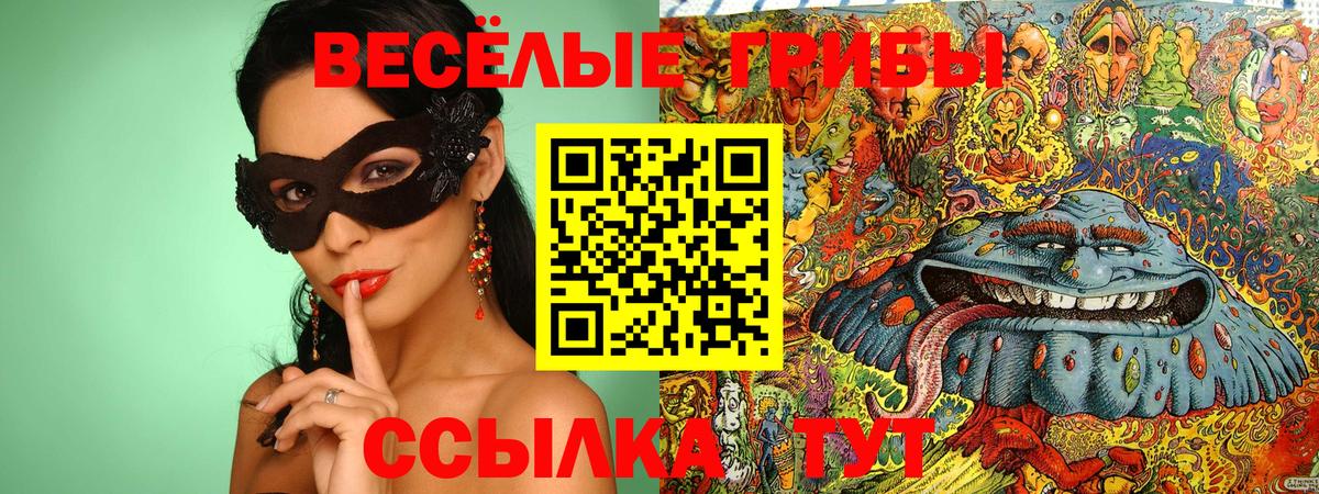 Радужный  Псилоцибиновые грибы Cubensis  Вход с VPN 