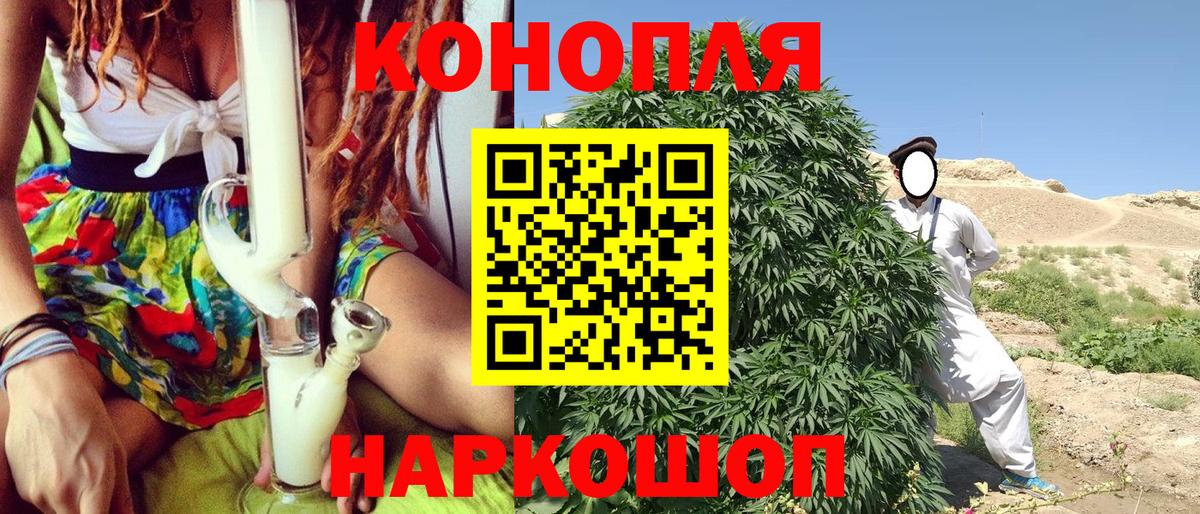 Шишки марихуана планчик  Вход с VPN  Марихуана VHQ  Радужный  Каннабис White Widow 